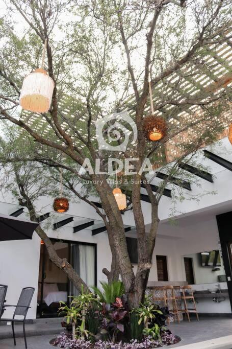 Villa Huizache Alberca Privada+Exclusividad+Lujo San Martín de las Pirámides Dış mekan fotoğraf